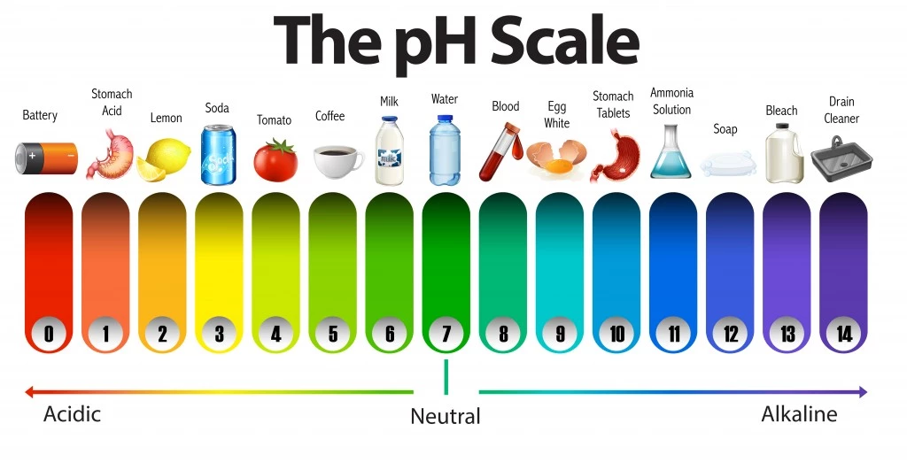 infographics of ph levels
